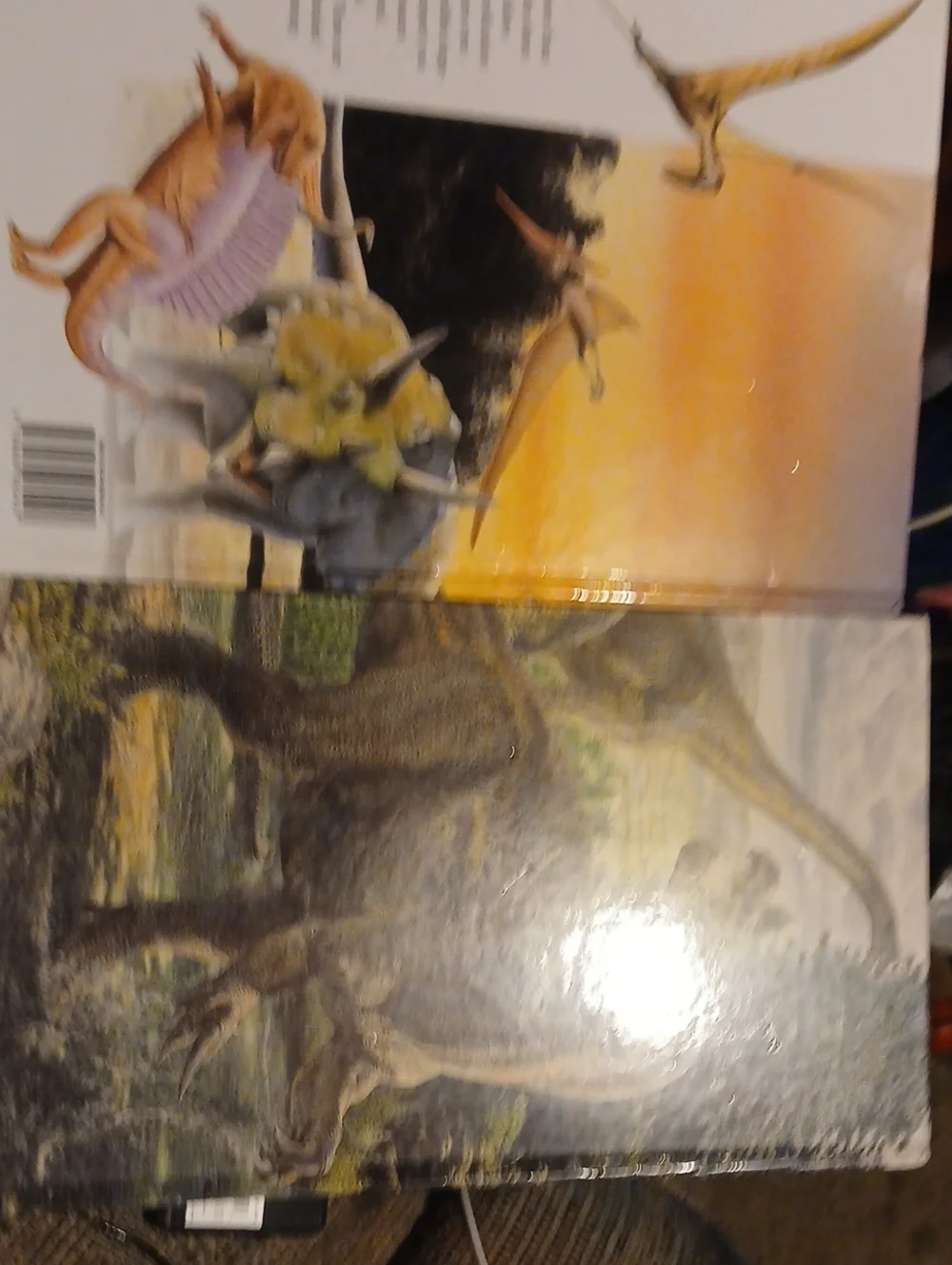 Dinosaurs fun kids